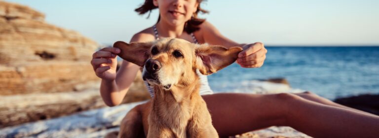 mejores apartamentos en peñíscola que admiten mascotas